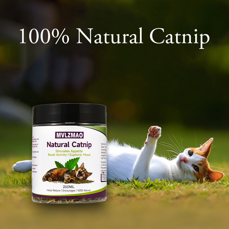 猫用おもちゃ - シルバーバインと猫用ハーブティー（猫が喜ぶ - Herbal Wellness Products のレビューと価格