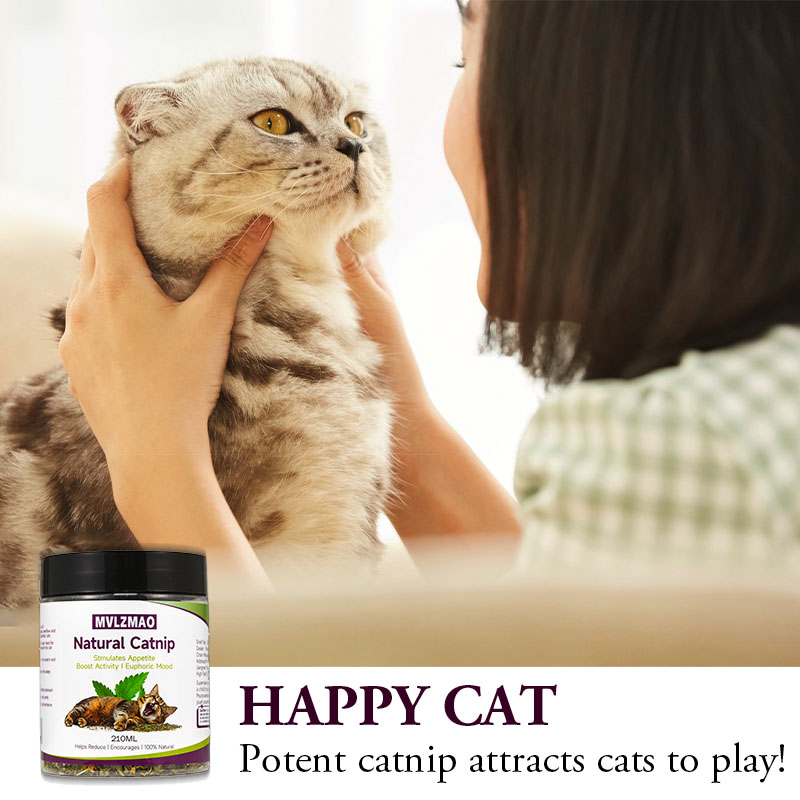 猫用おもちゃ - シルバーバインと猫用ハーブティー（猫が喜ぶ - Herbal Wellness Products のレビューと価格